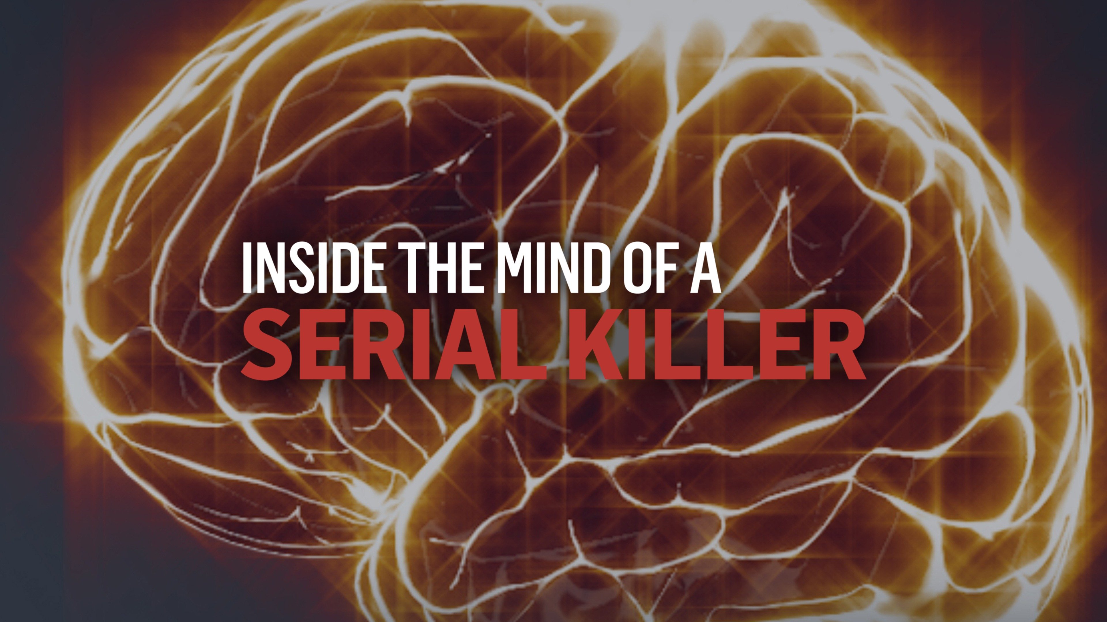Inside The Minds Of The Lester Street Killers: A Forensic Psychologist'S Analysis - ejf005n