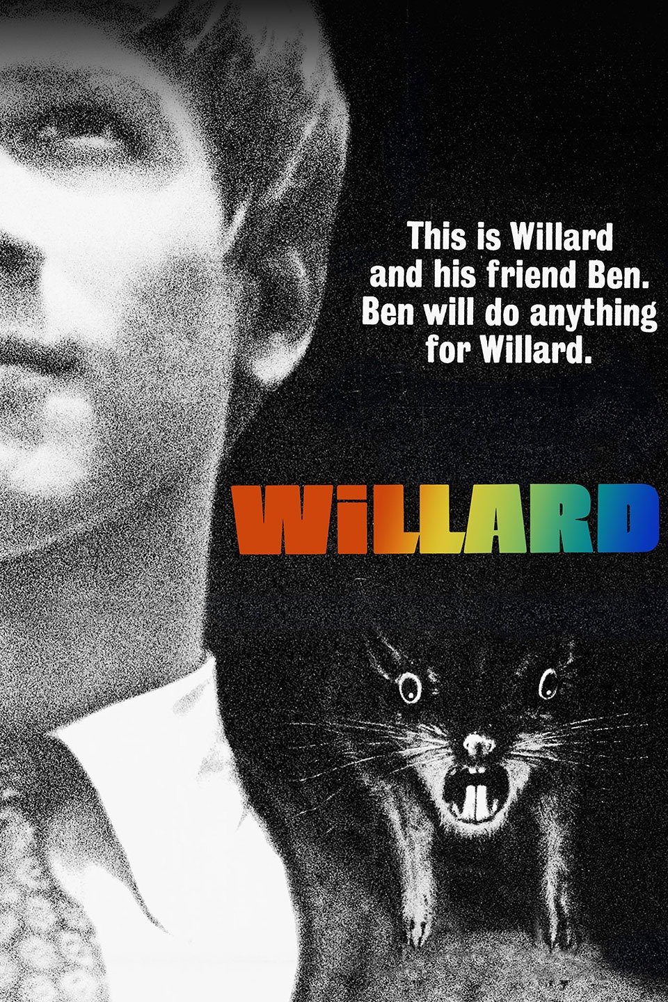 【未開封DVD】Willard SPEED WAS BEST FRIEND 未開封DVD】Willard SPEED WAS BEST FRIEND DVD] Speed Was Best