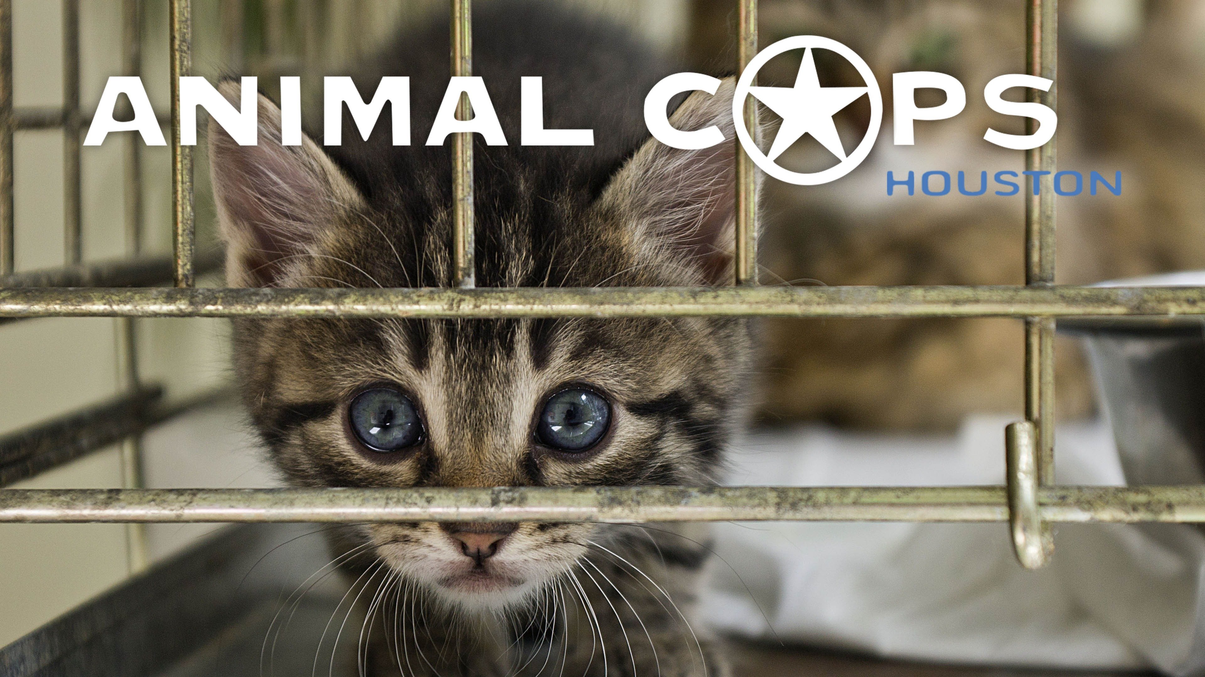 Animal Cops Houston · Season 18 Plex