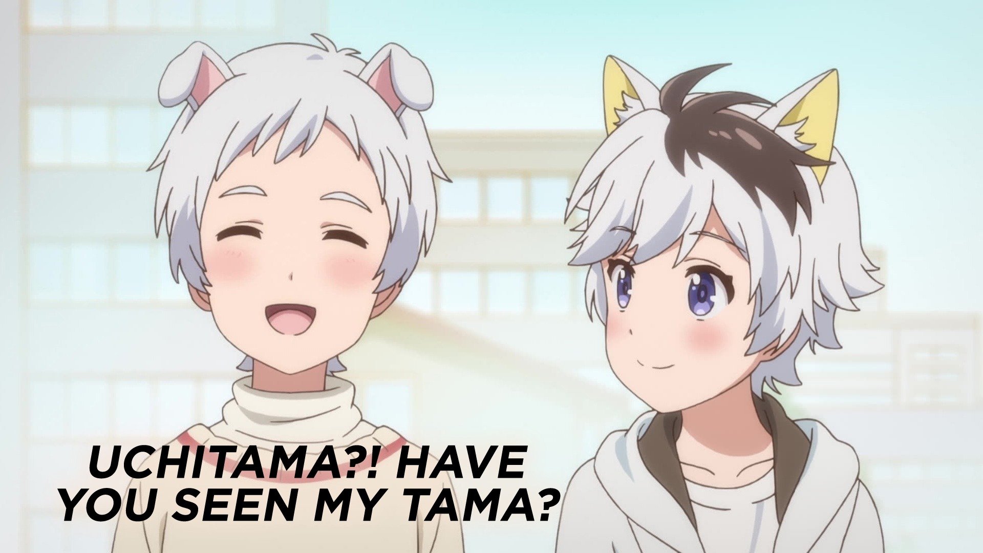 Watch Uchitama?! Have you seen my Tama? · Season 1 Full Episodes Online ...