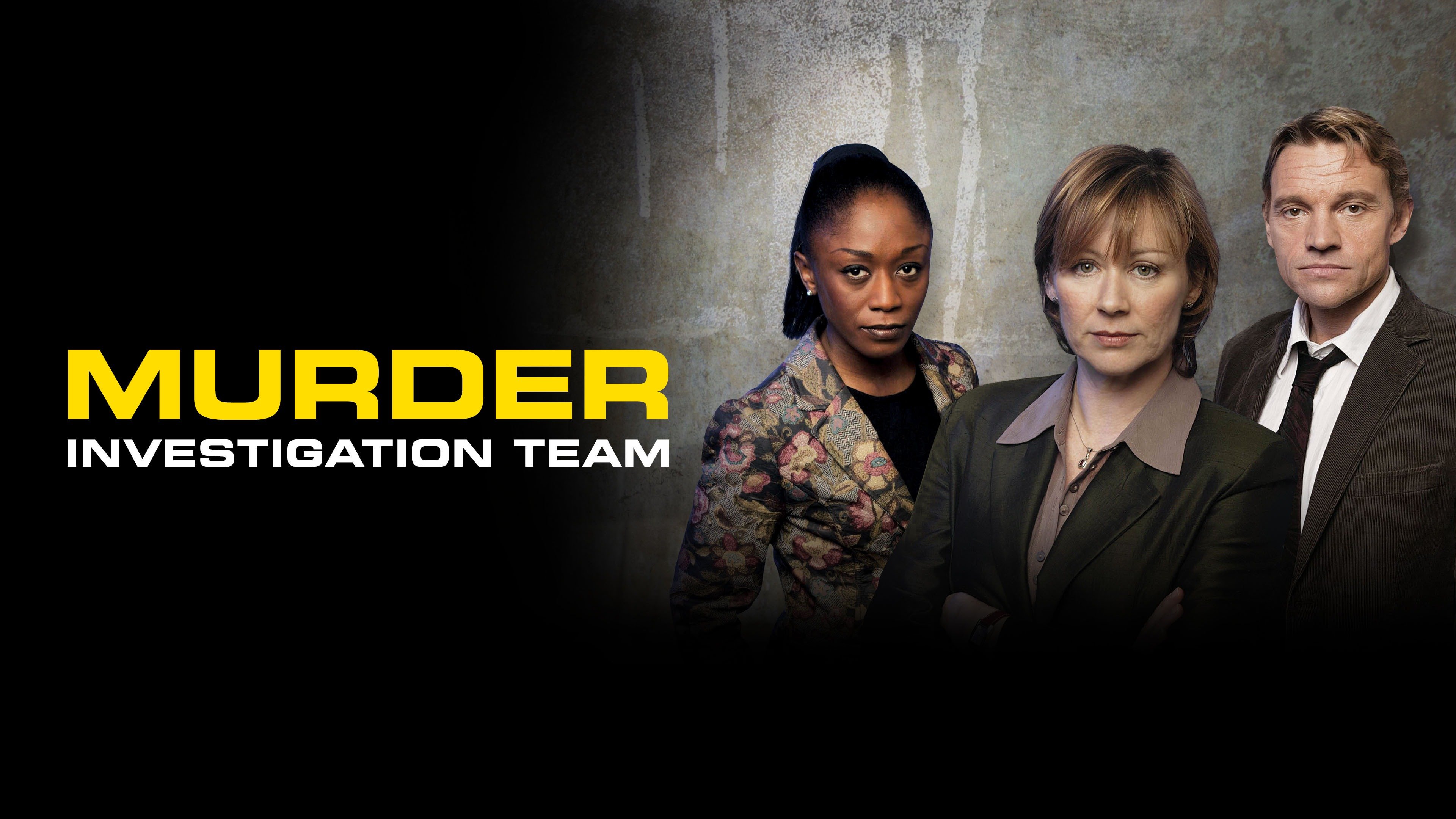 Watch Murder Investigation Team (2003) TV Series Online Plex