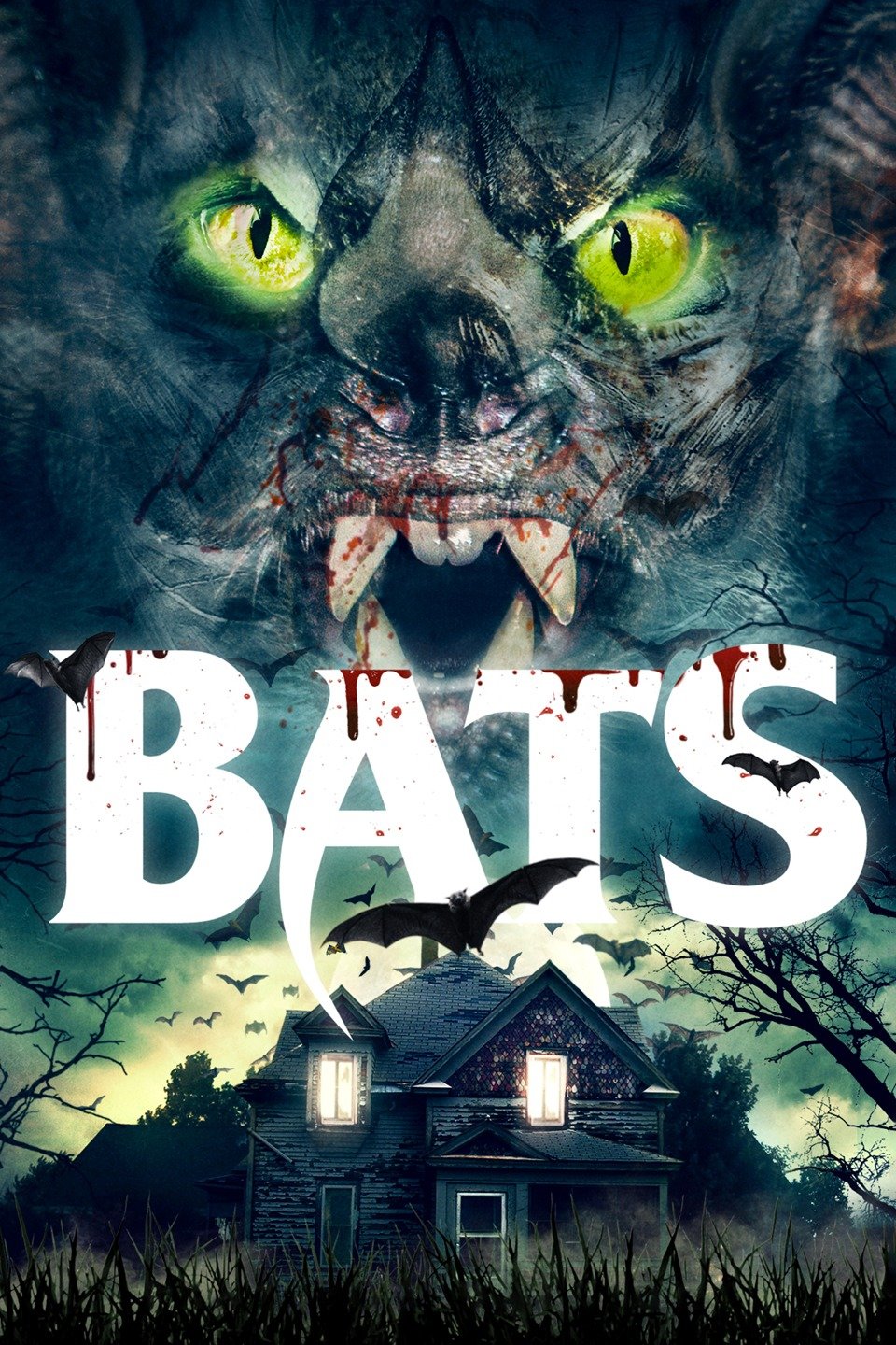 Bats on FREECABLE TV