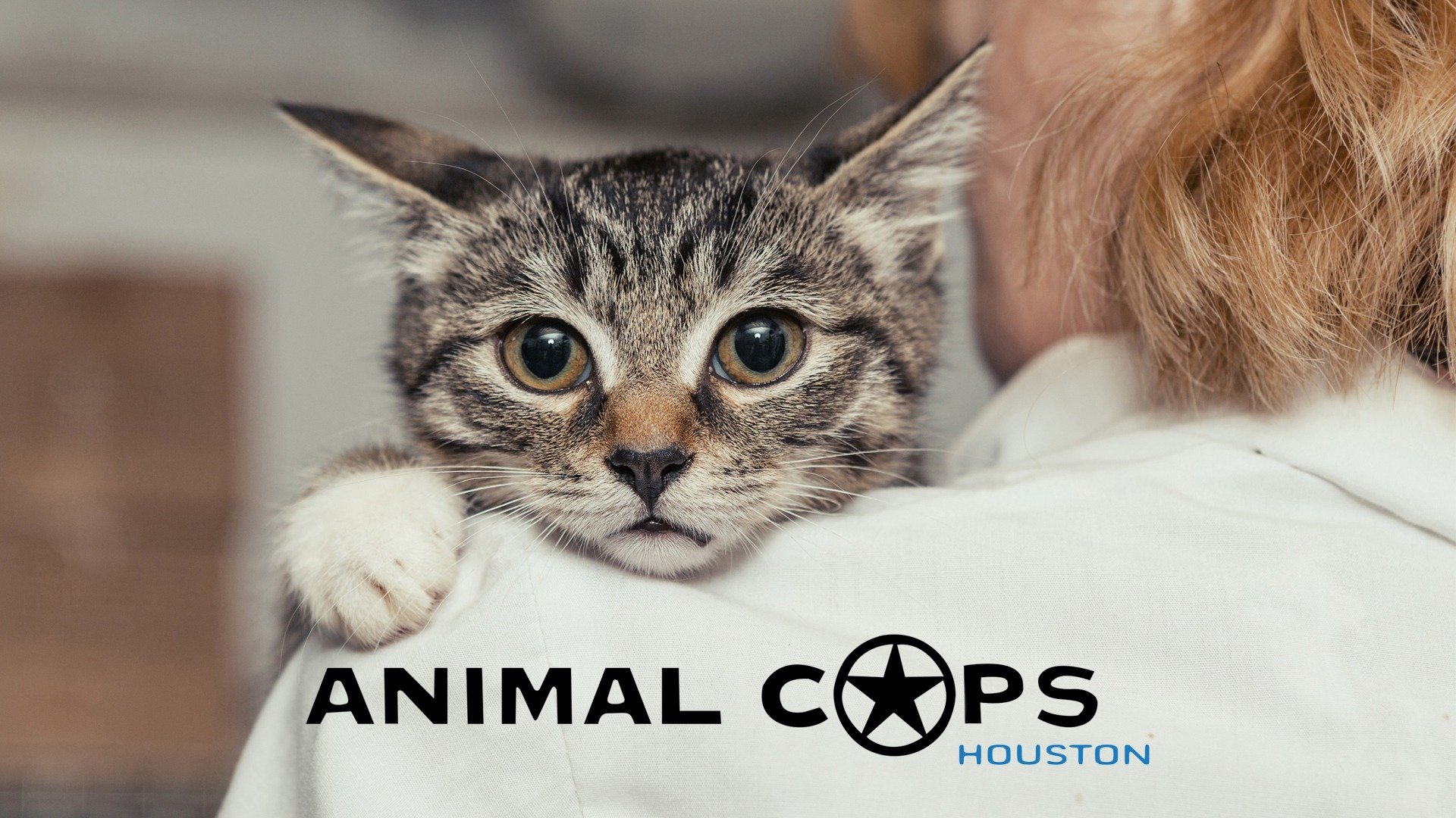 Animal Cops Houston · Season 7 Plex