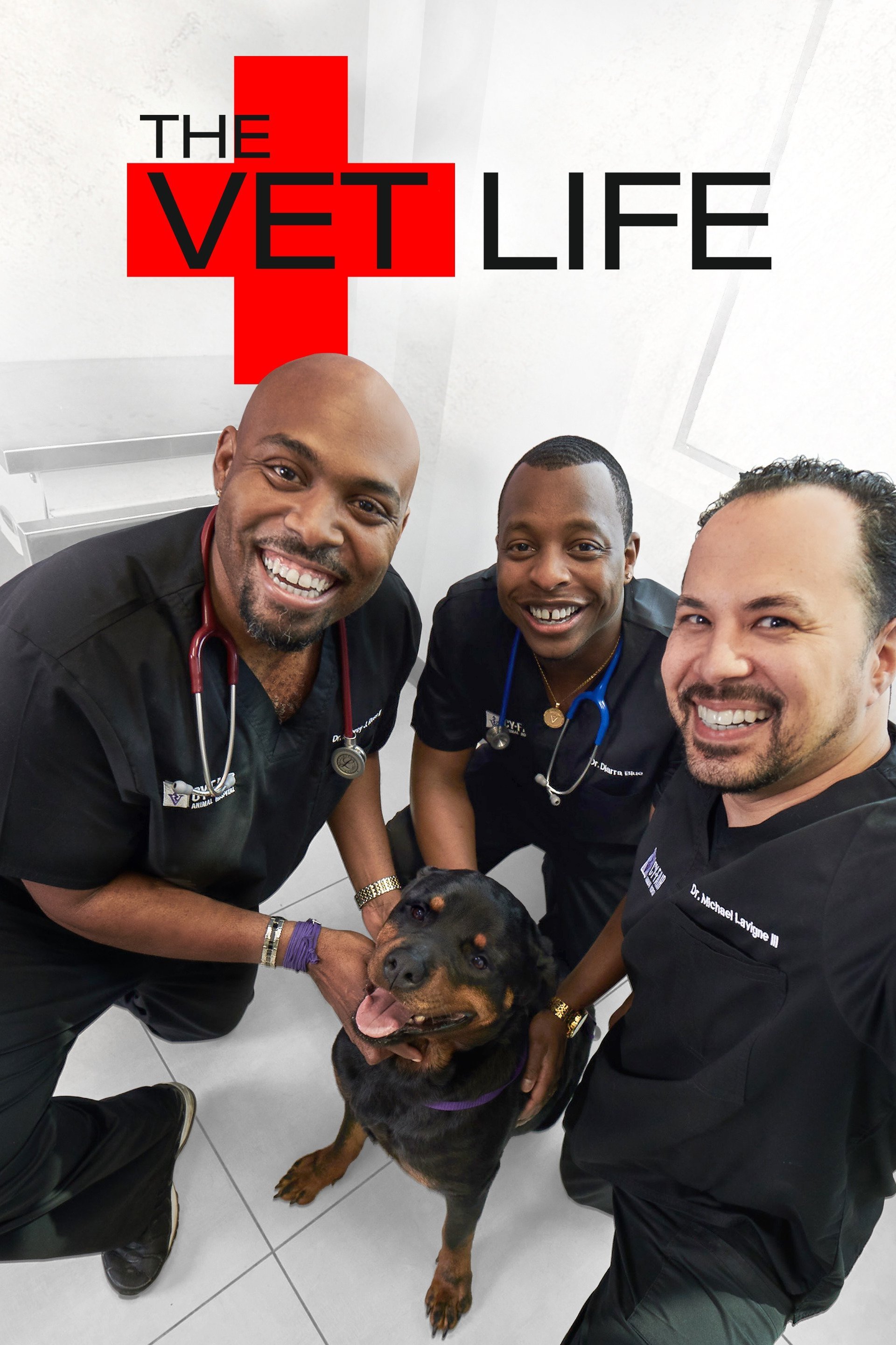 The Vet Life on FREECABLE TV