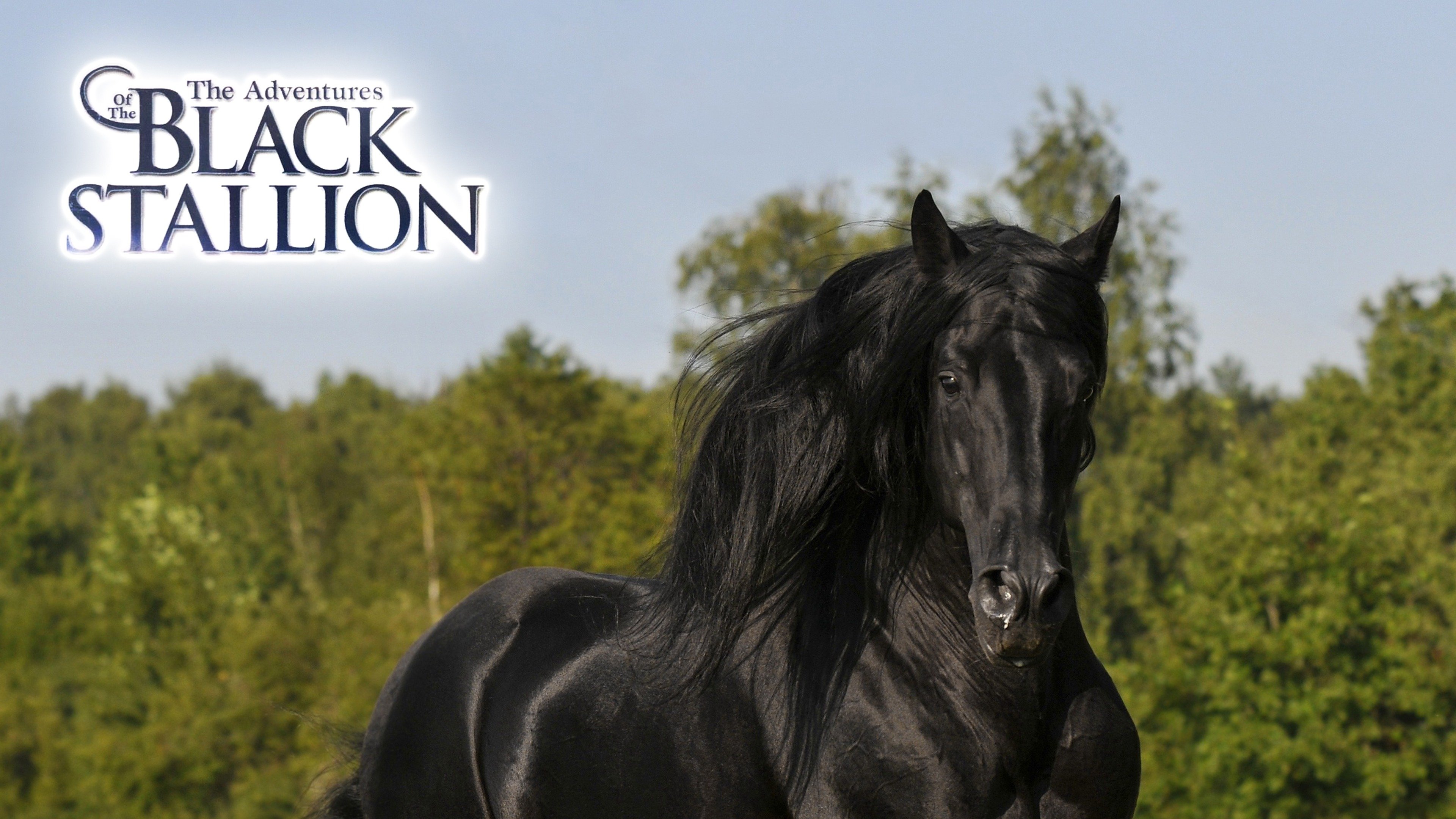 The Adventures of the Black Stallion · Season 3 - Plex - Watch The Adventures Of The Black Stallion Online Free