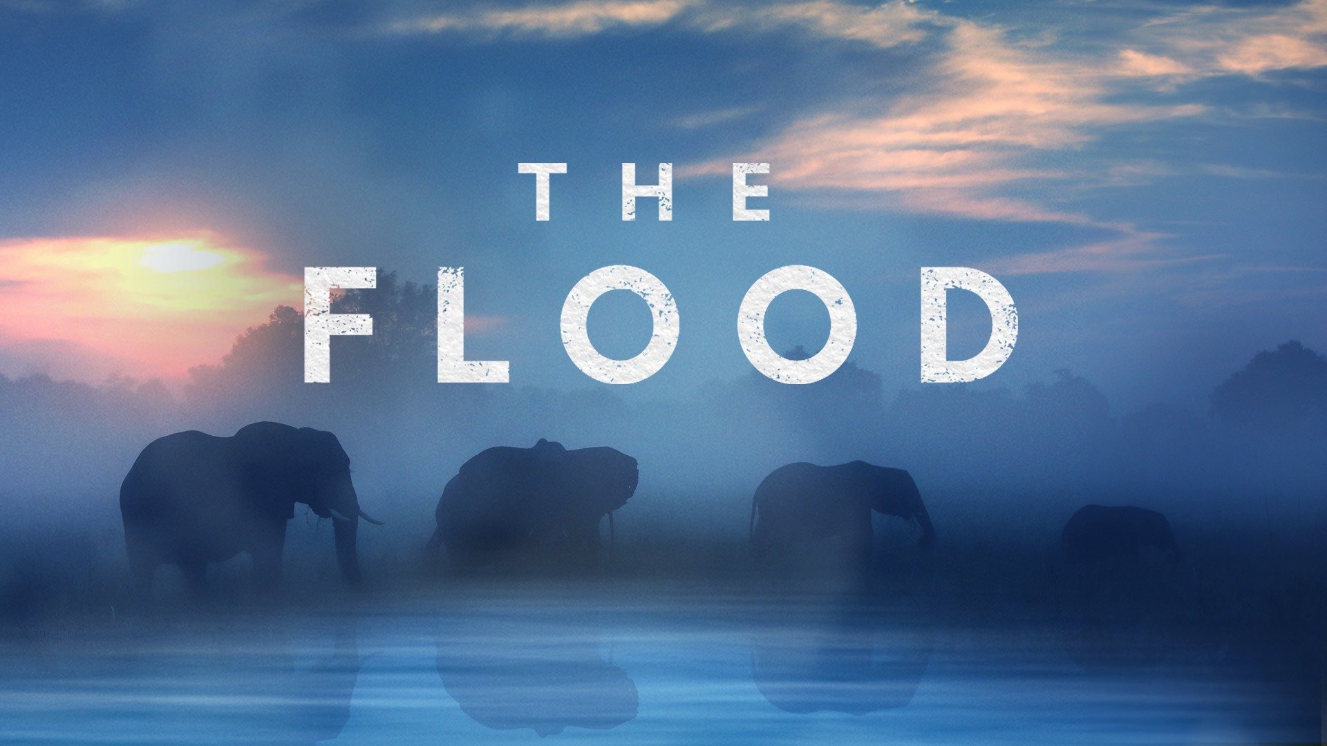 Watch The Flood (2018) (2018) TV Series Free Online - Plex