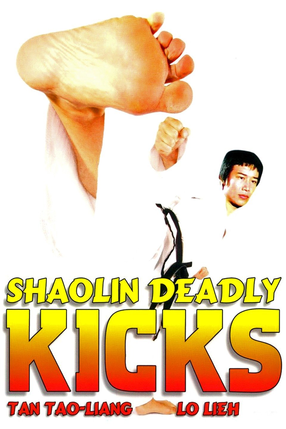 Shaolin Deadly Kicks on FREECABLE TV