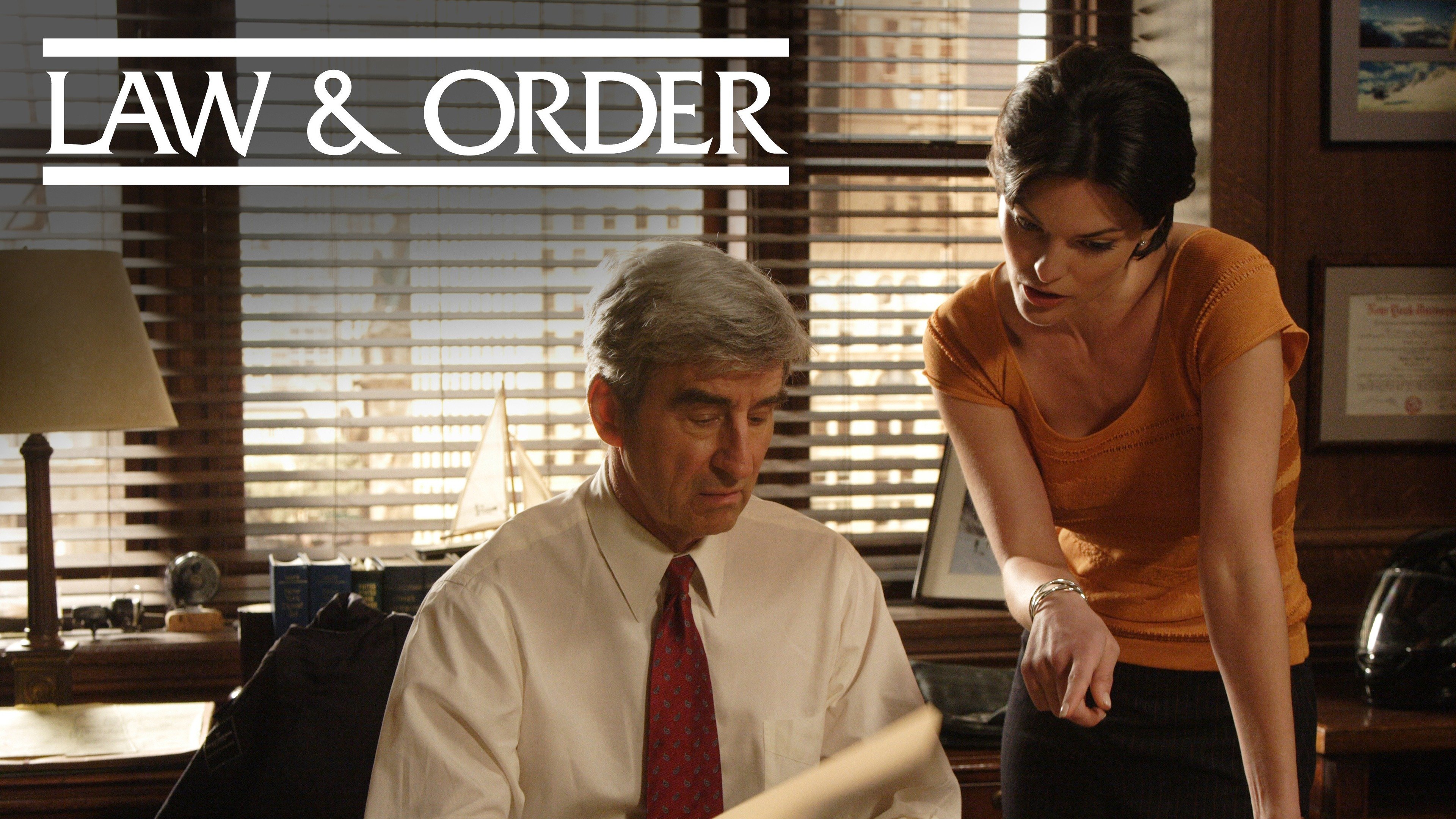 Law &amp; Order · Season 8 Episode 22 · Damaged - Plex