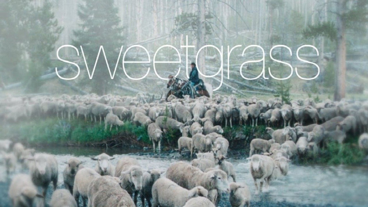 Watch Sweetgrass (2011) Full Movie Free Online Plex