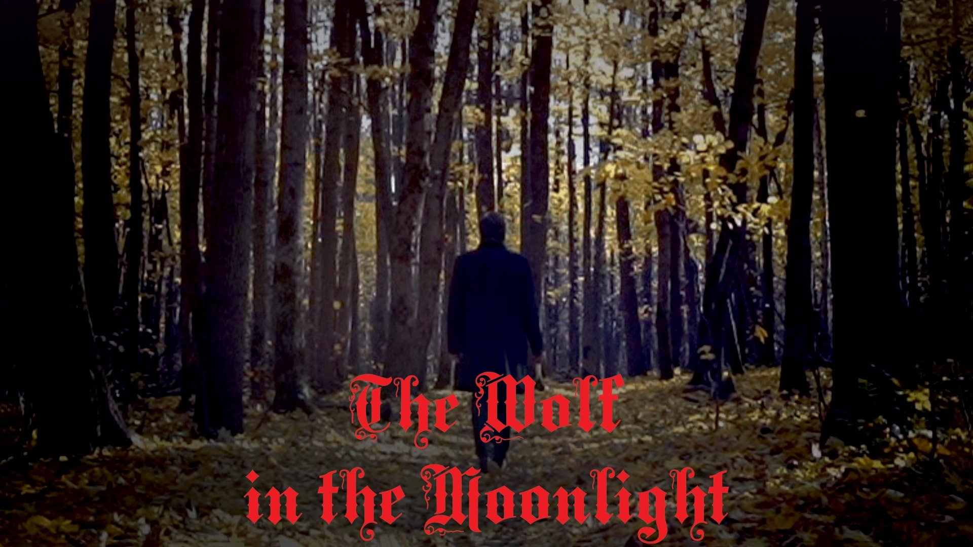 Watch the wolf in the moonlight full movie free online plex
