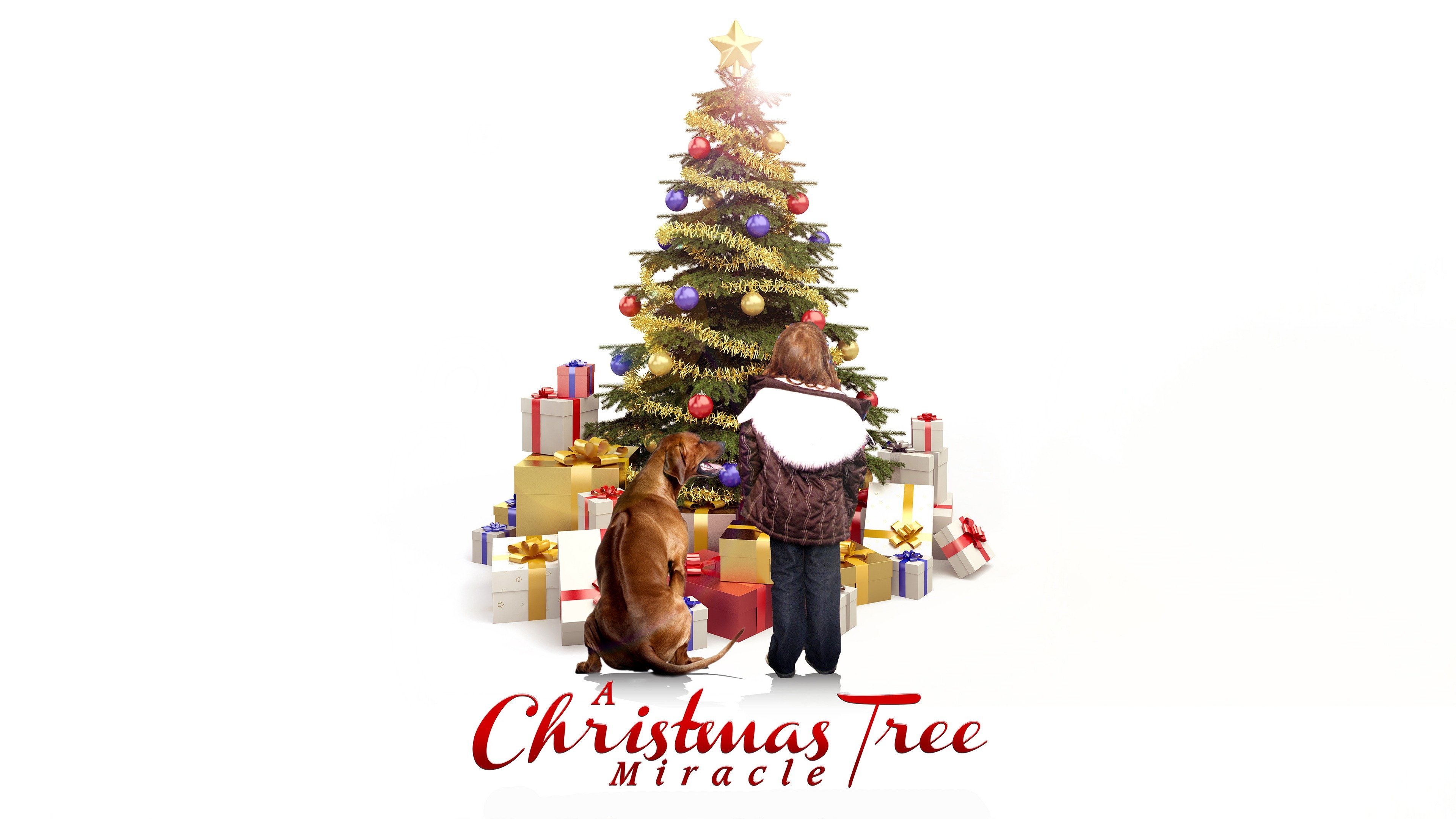 Watch A Christmas Tree Miracle (2013) Full Movie Free Online Plex