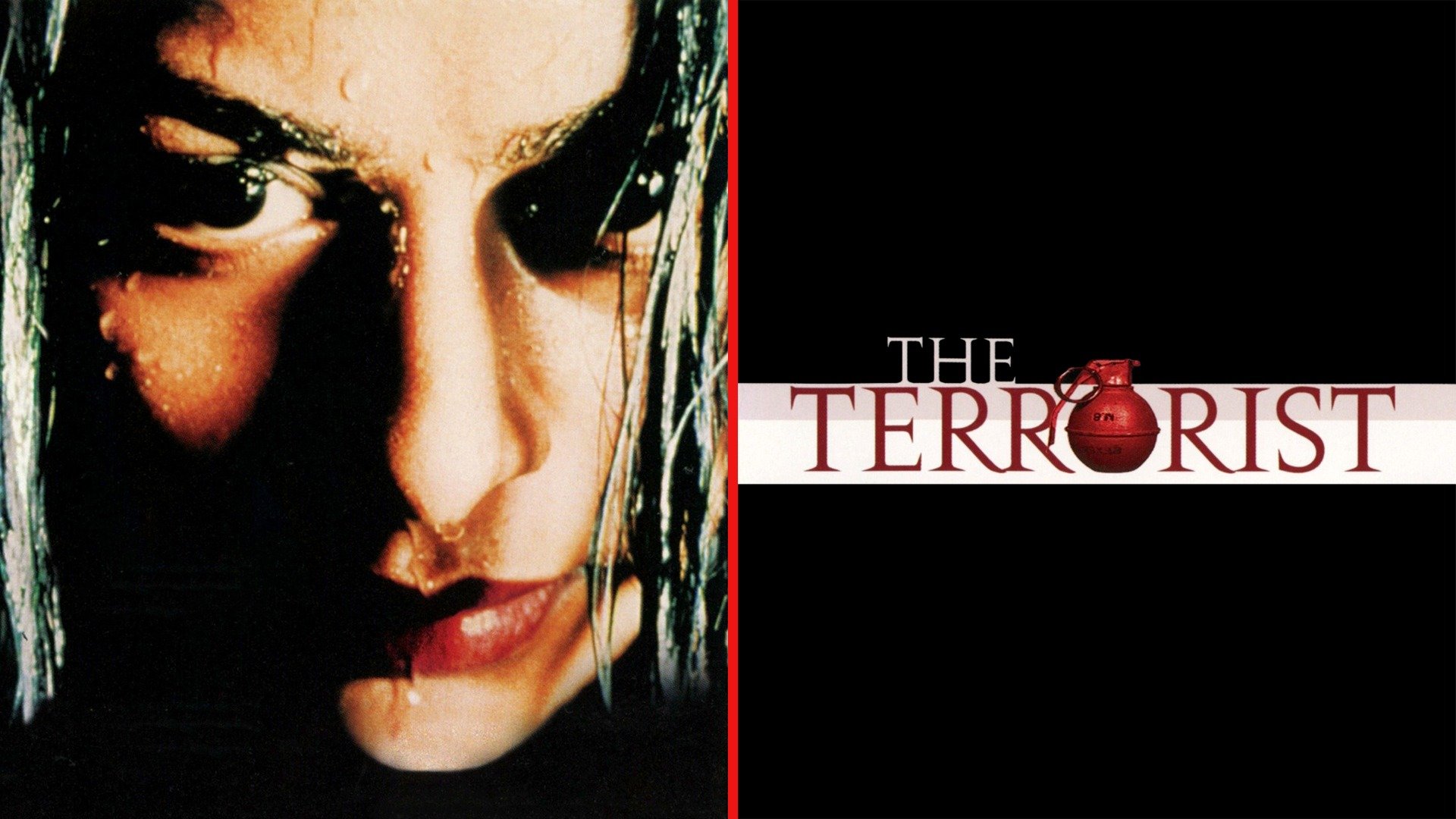 The Terrorist (2000) Plex