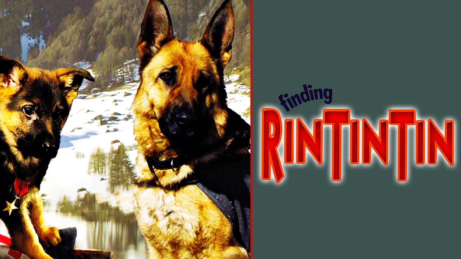 Watch Finding Rin Tin Tin (2007) Full Movie Free Online Plex Watch Finding Rin Tin Tin (2007) Full Movie Free Online Plex