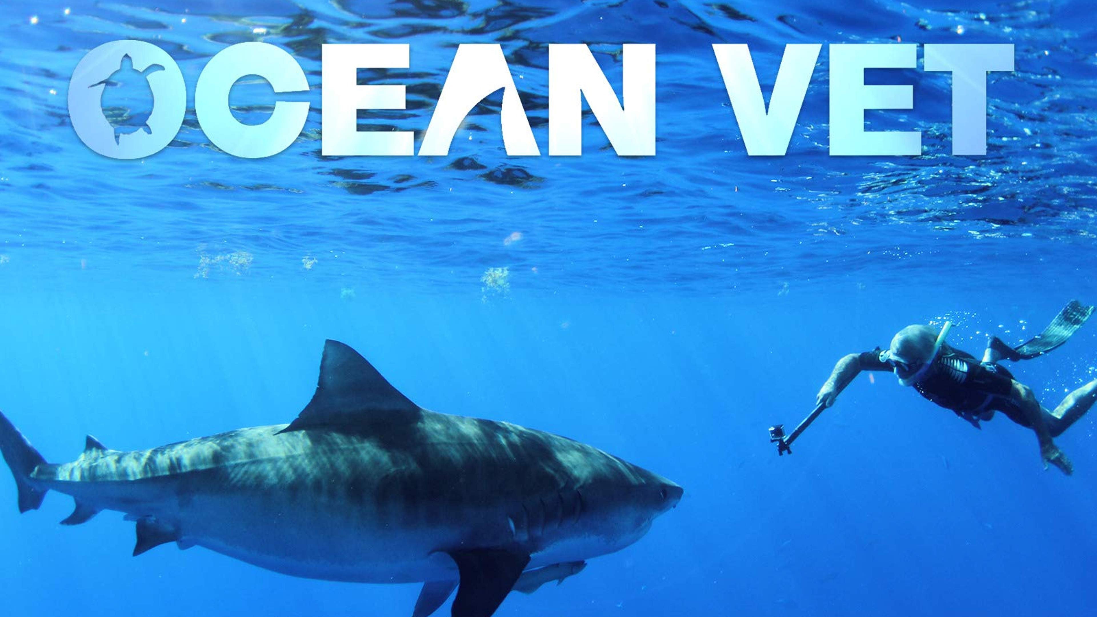 Watch Ocean Vet (2016) TV Series Free Online Plex