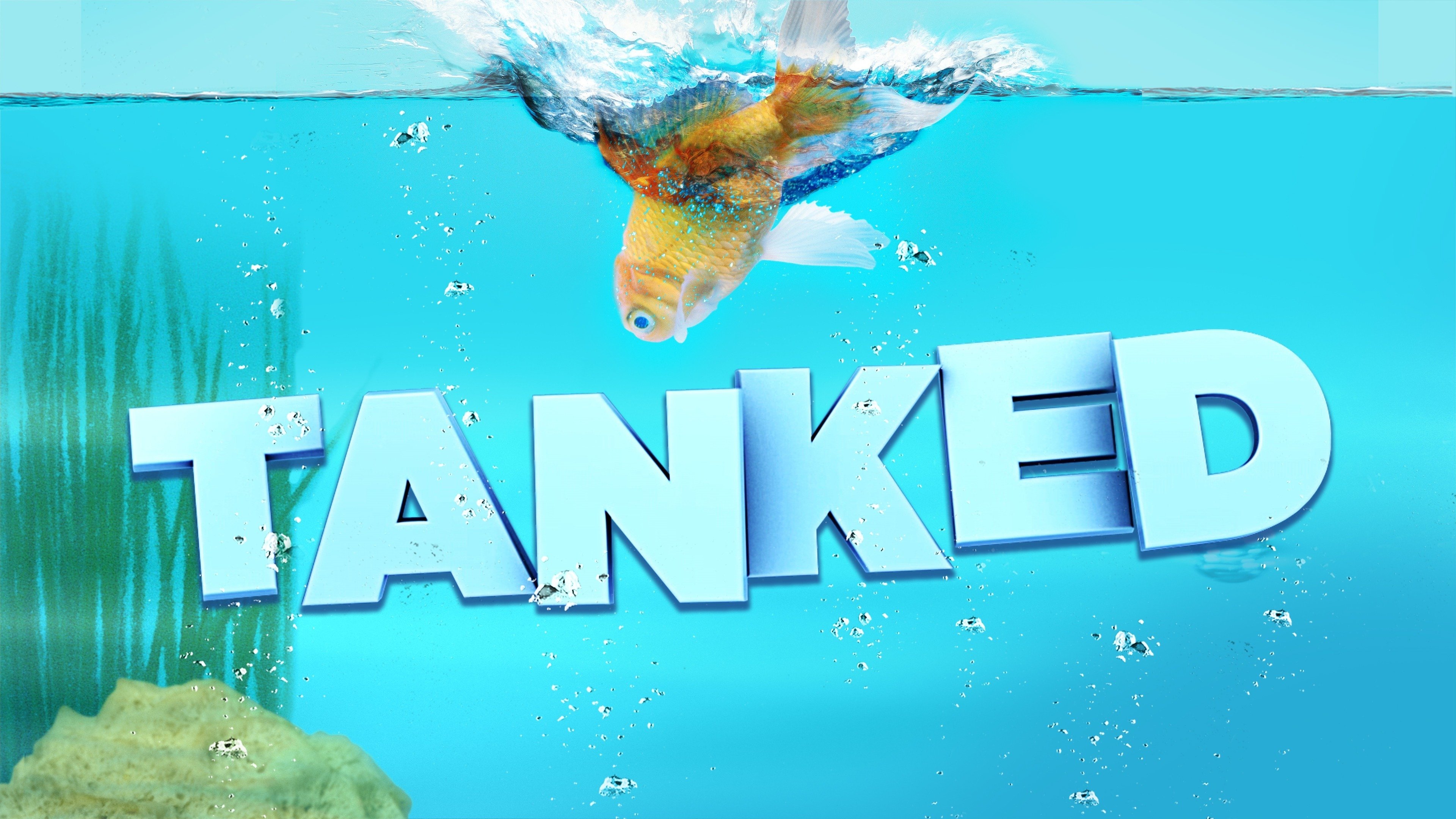 Where Can I Watch Tanked For Free Watch Tanked · Season 1 Full Episodes Free Online - Plex