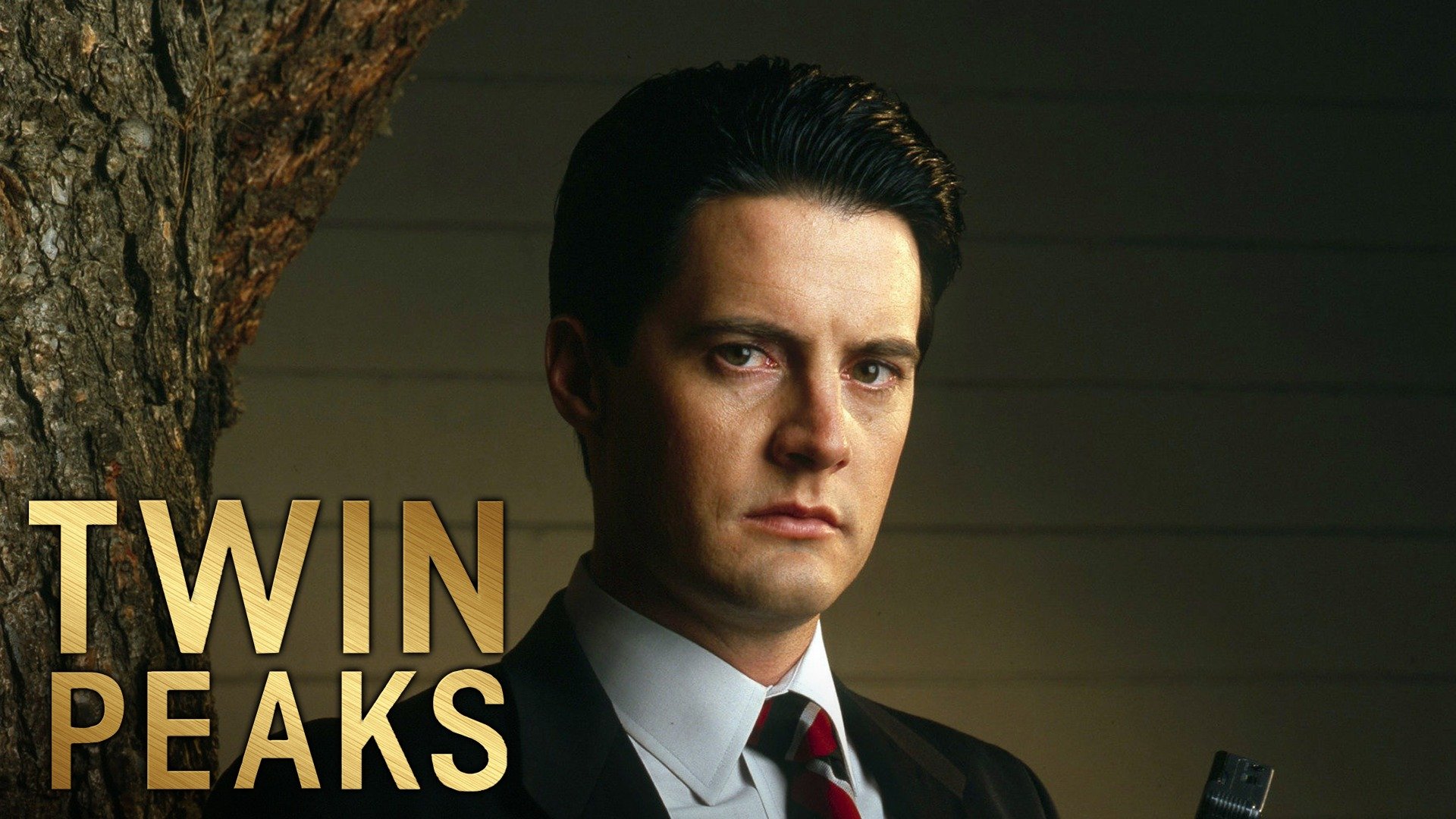 Watch Twin Peaks · Season 1 Full Episodes Online Plex