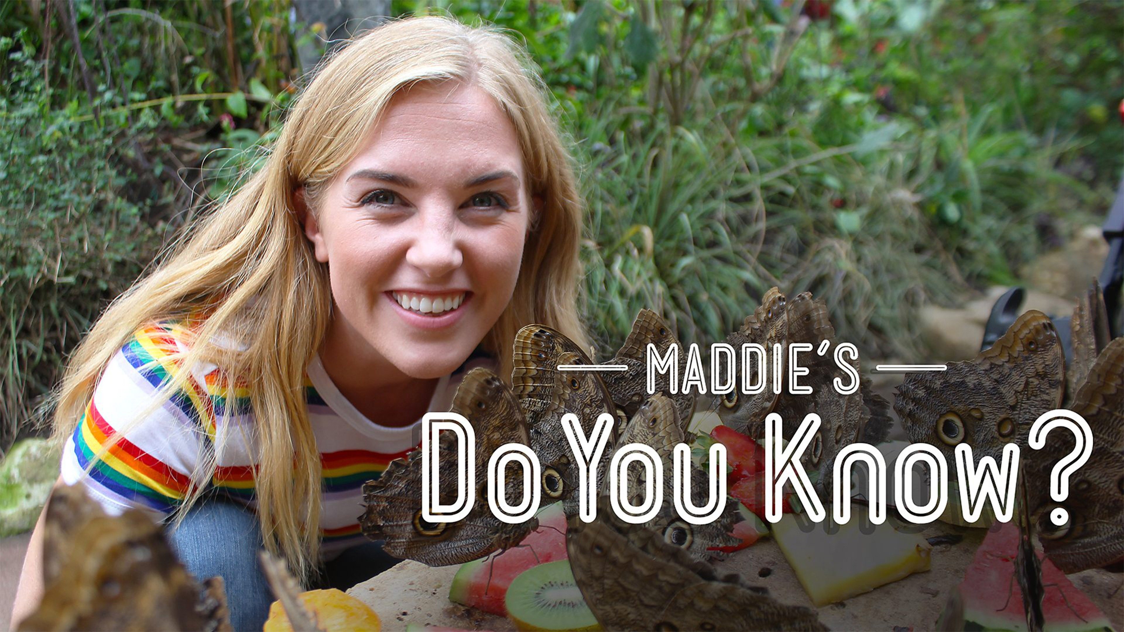 Maddie's Do You Know? · Season 3 Plex