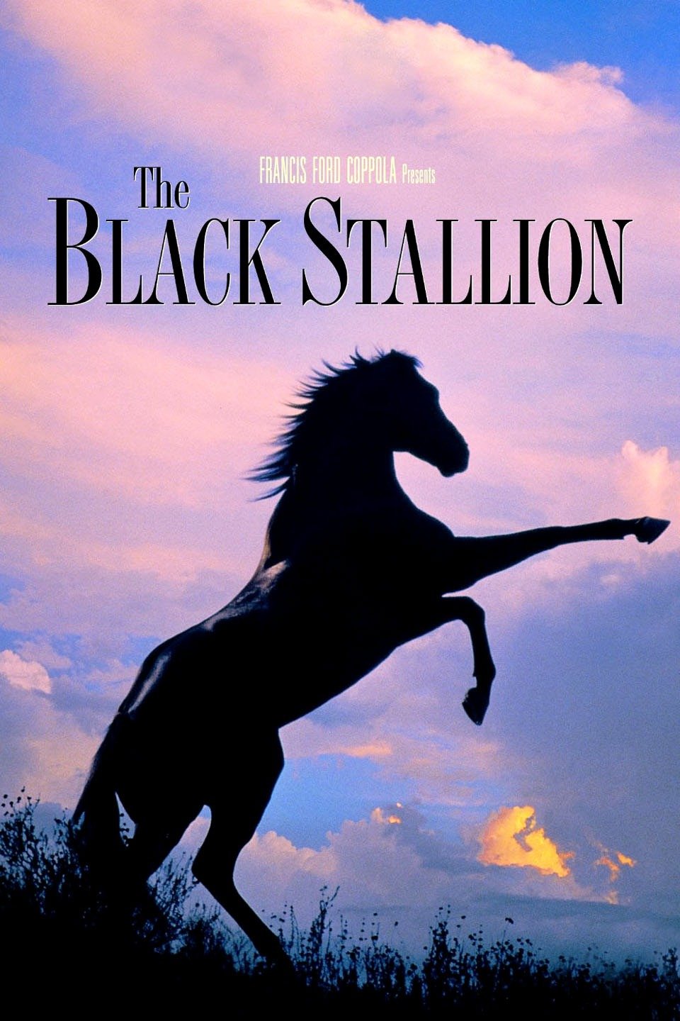 ワイルドブラックTHE BLACK STALLION USオリジナル映画ポスター ワイルドブラックTHE BLACK STALLION USオリジナル映画ポスター