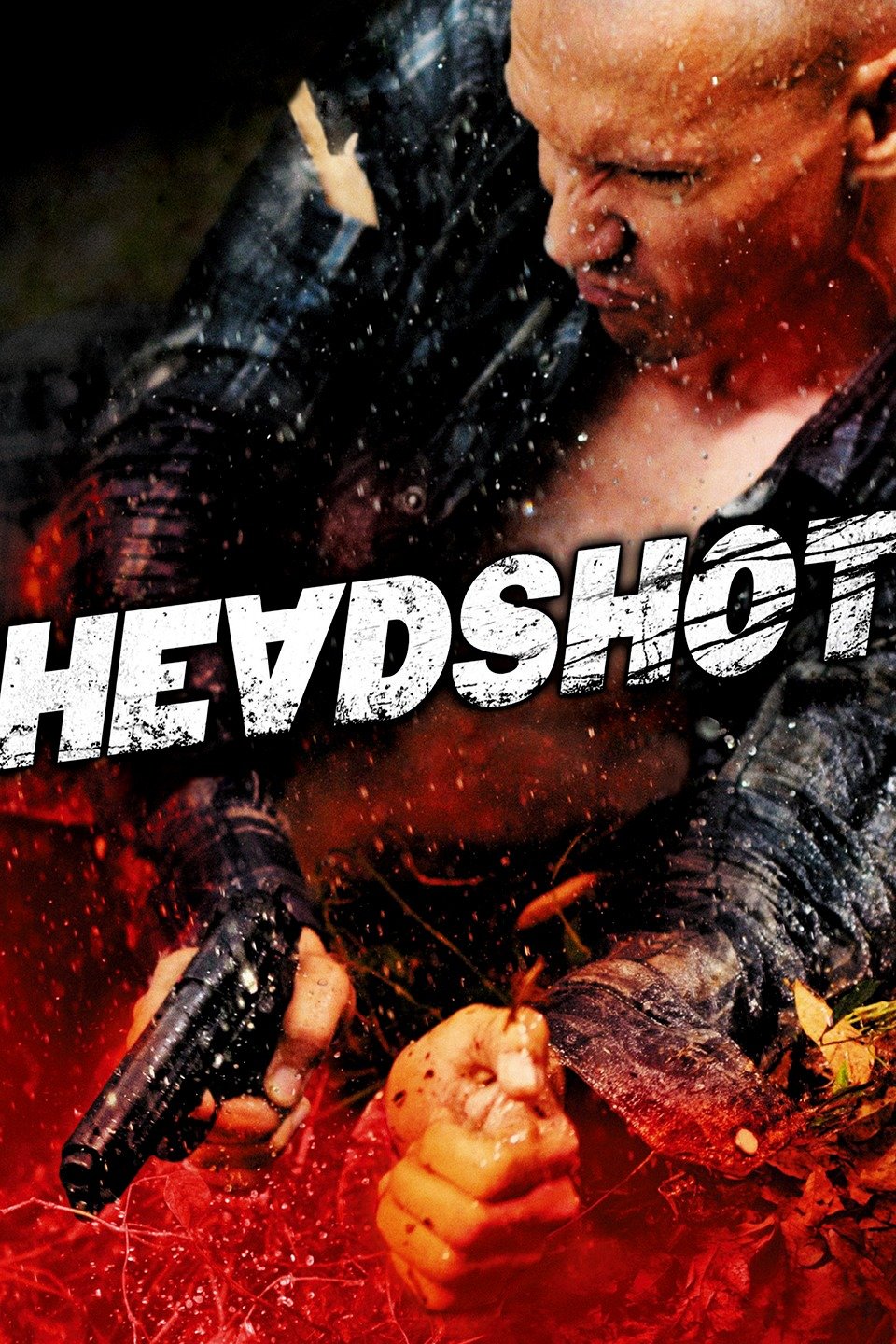 Headshot on FREECABLE TV