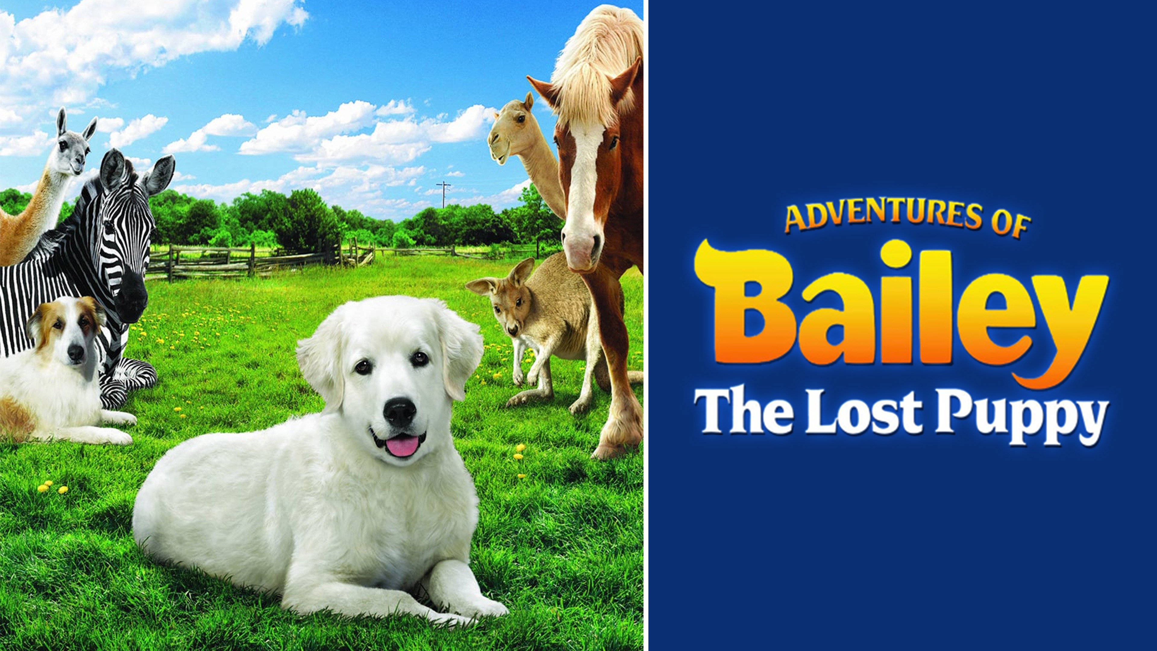 Watch Adventures of Bailey The Lost Puppy (2011) Full Movie Online Plex