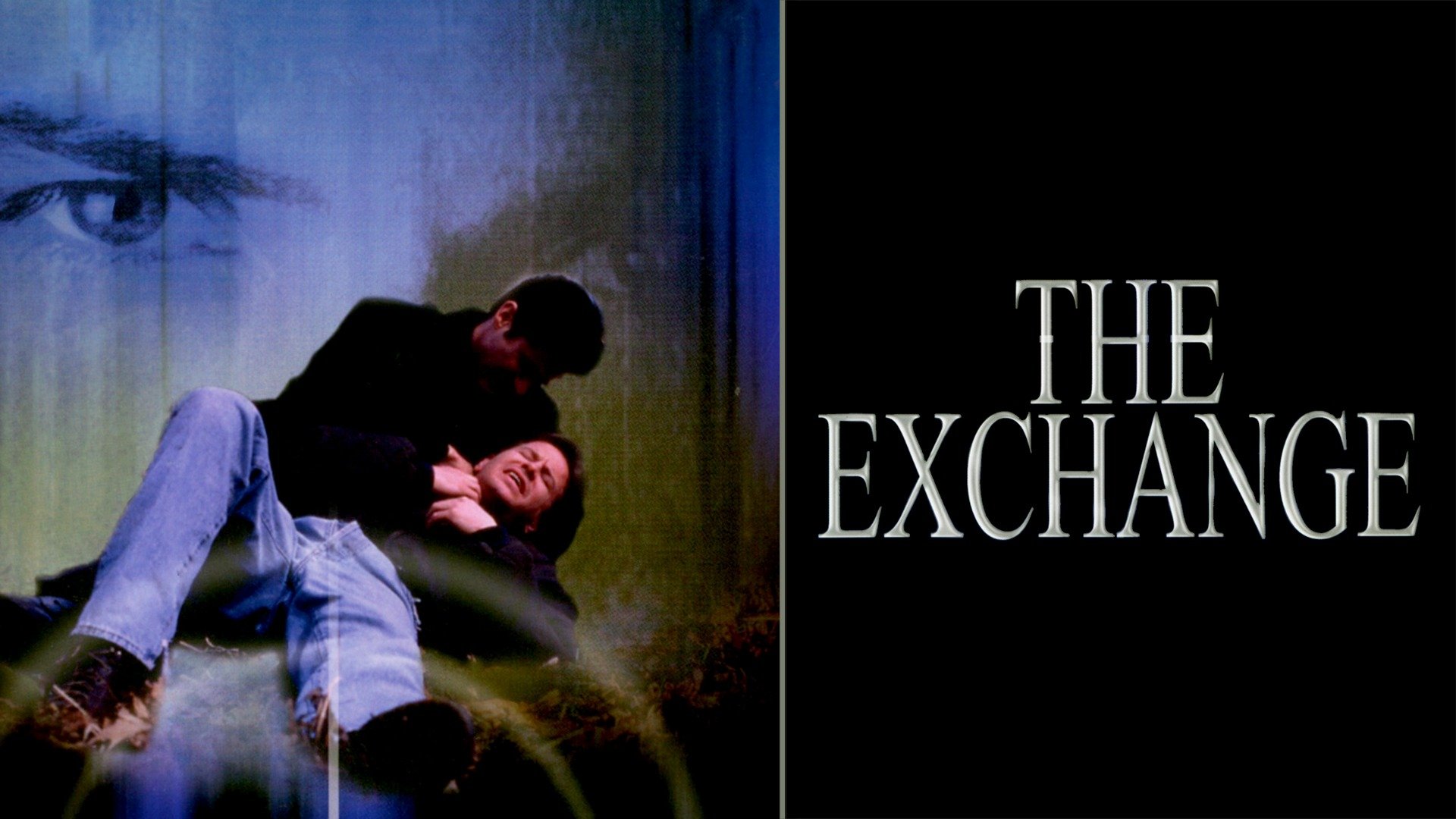 The Exchange 2000 Plex