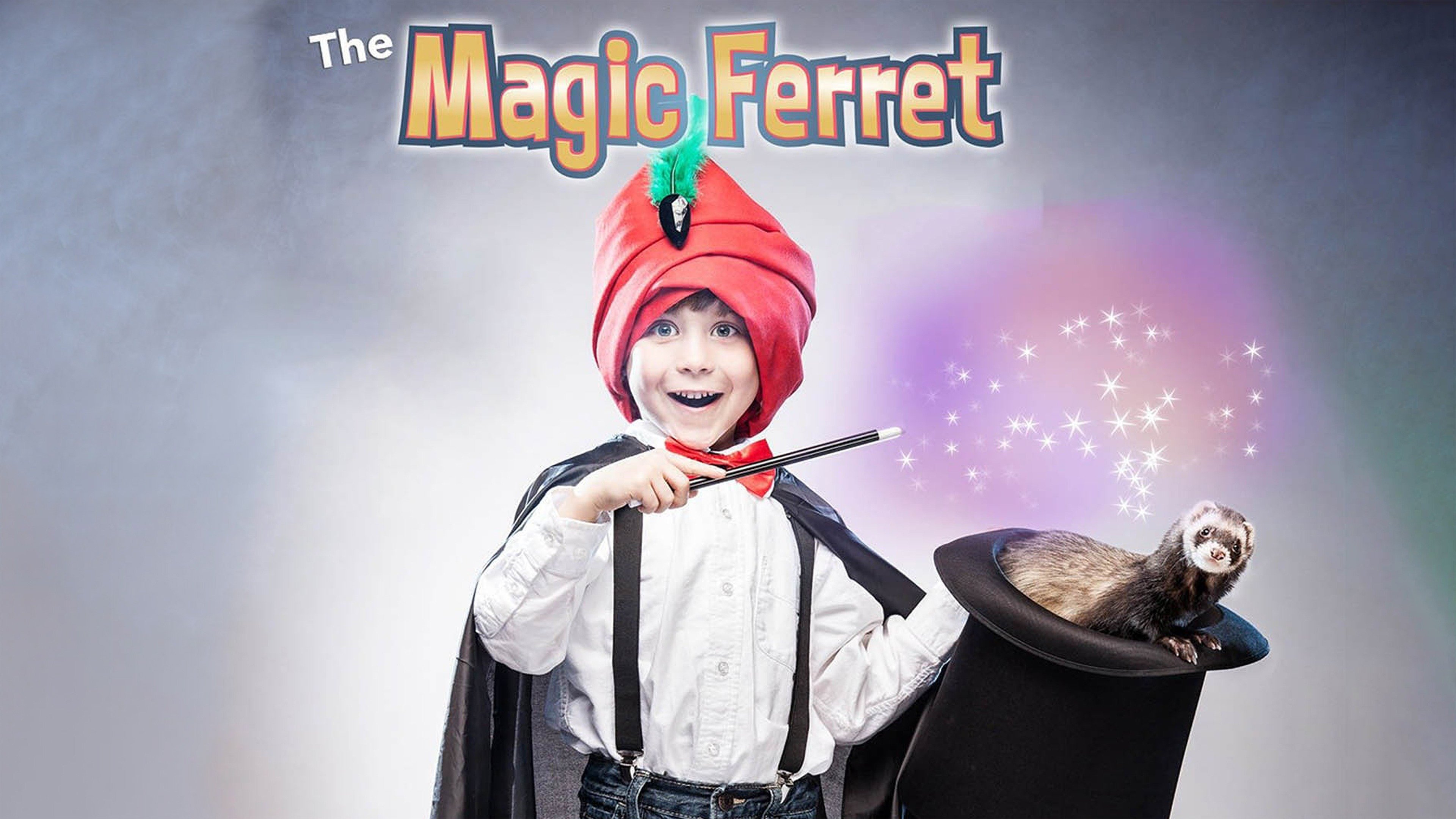 Watch The Magic Ferret (2013) Full Movie Online - Plex