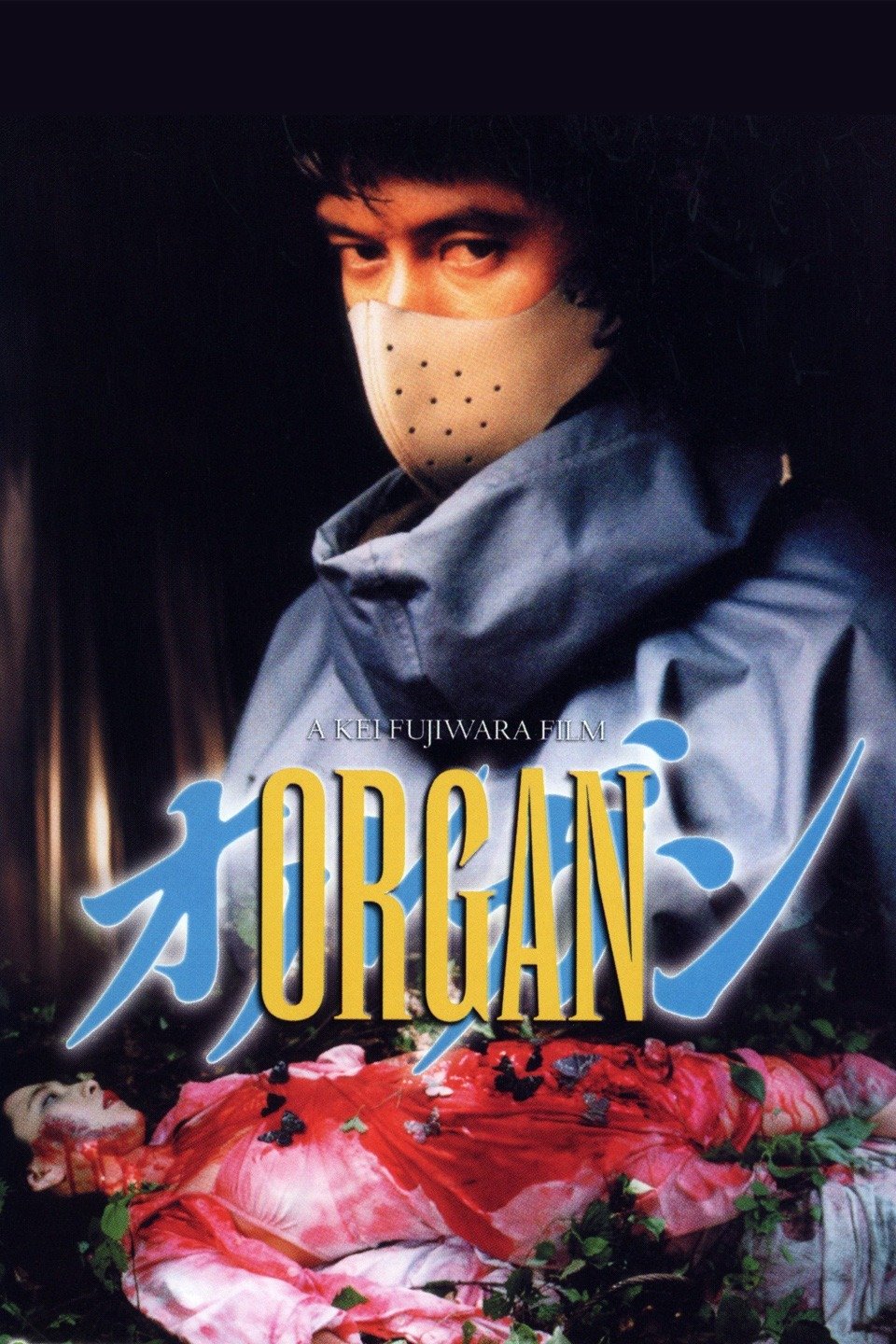 Organ on FREECABLE TV