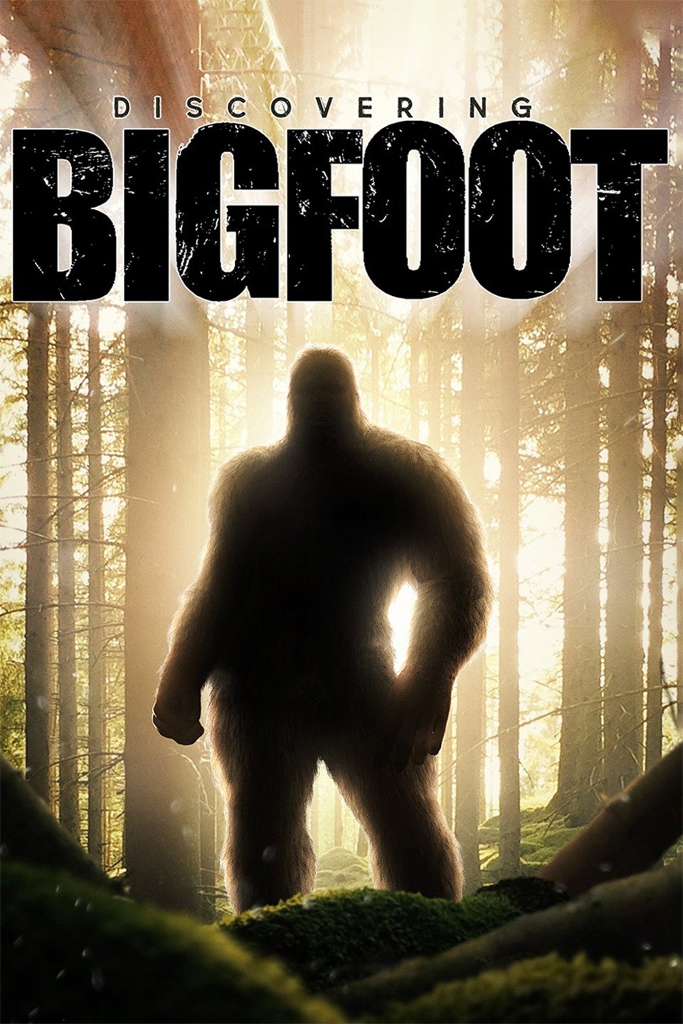 Discovering Bigfoot on FREECABLE TV