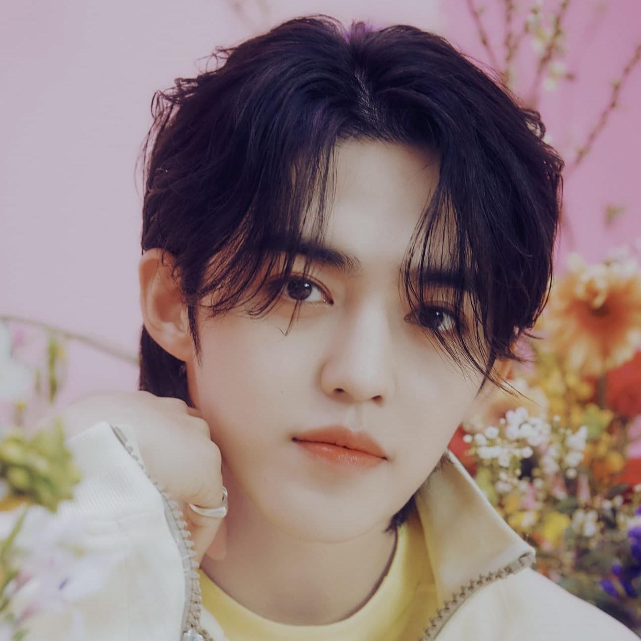 c80fea062c1e8179068f52053245fc