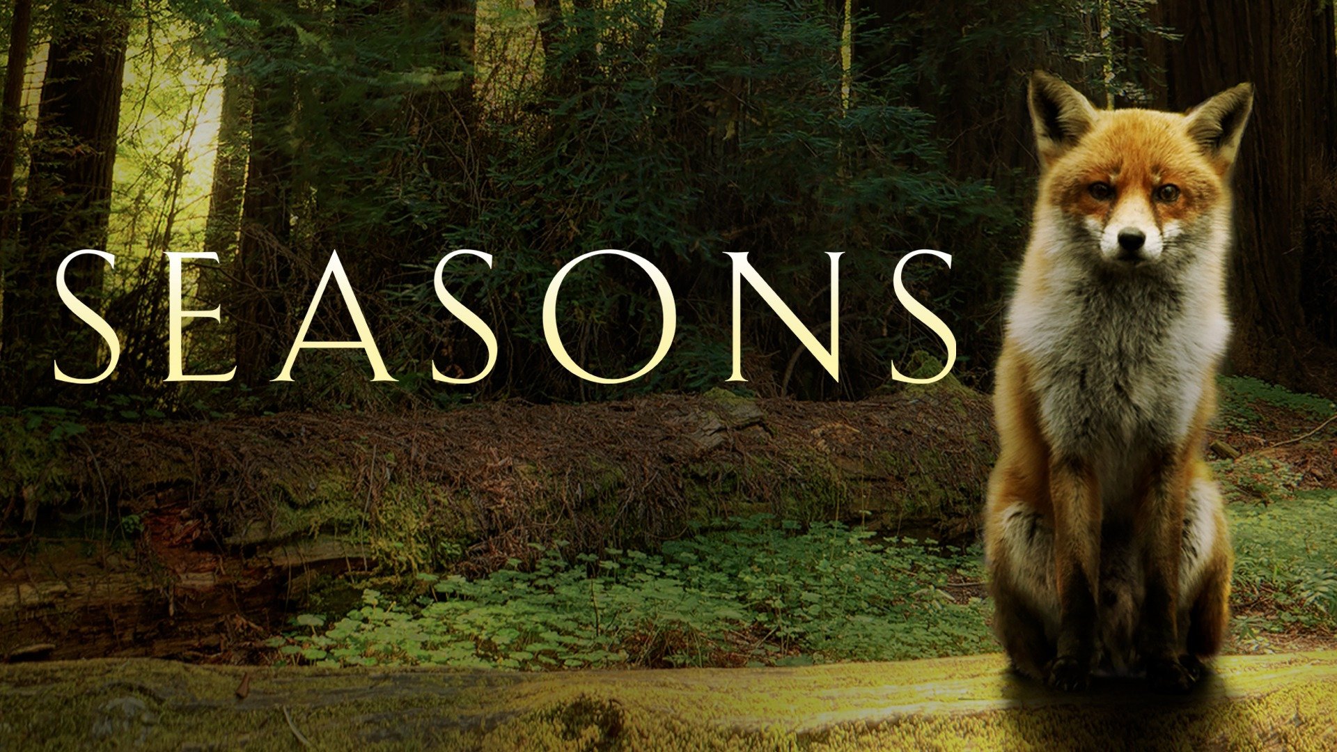 Watch Seasons (2016) Full Movie Free Online Plex