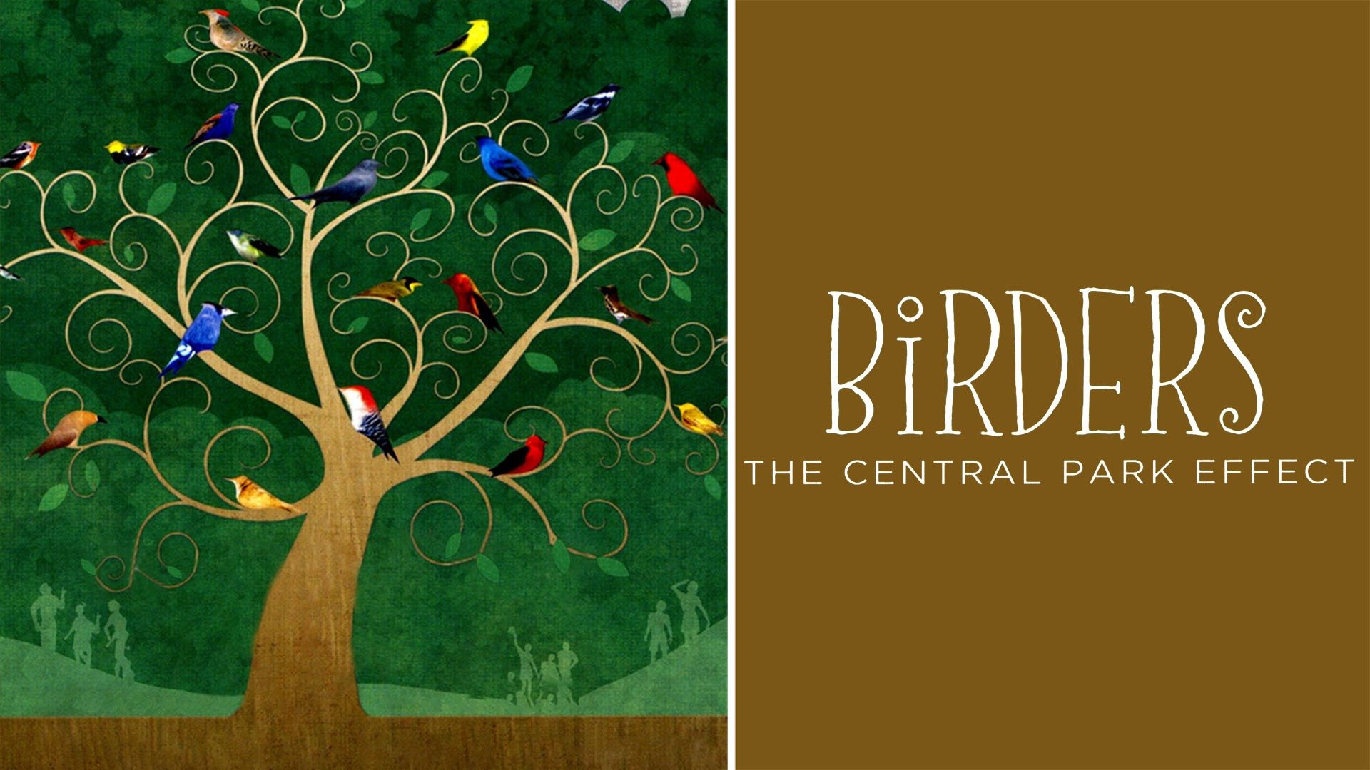 Birders The Central Park Effect Watch Online Free Watch Birders: The Central Park Effect (2012) Full Movie Free Online - Plex