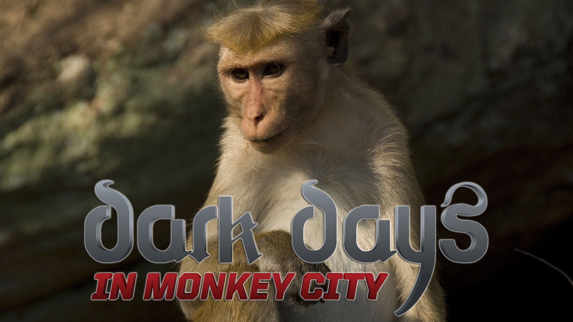 Watch Dark Days in Monkey City (2009) TV Series Online Plex