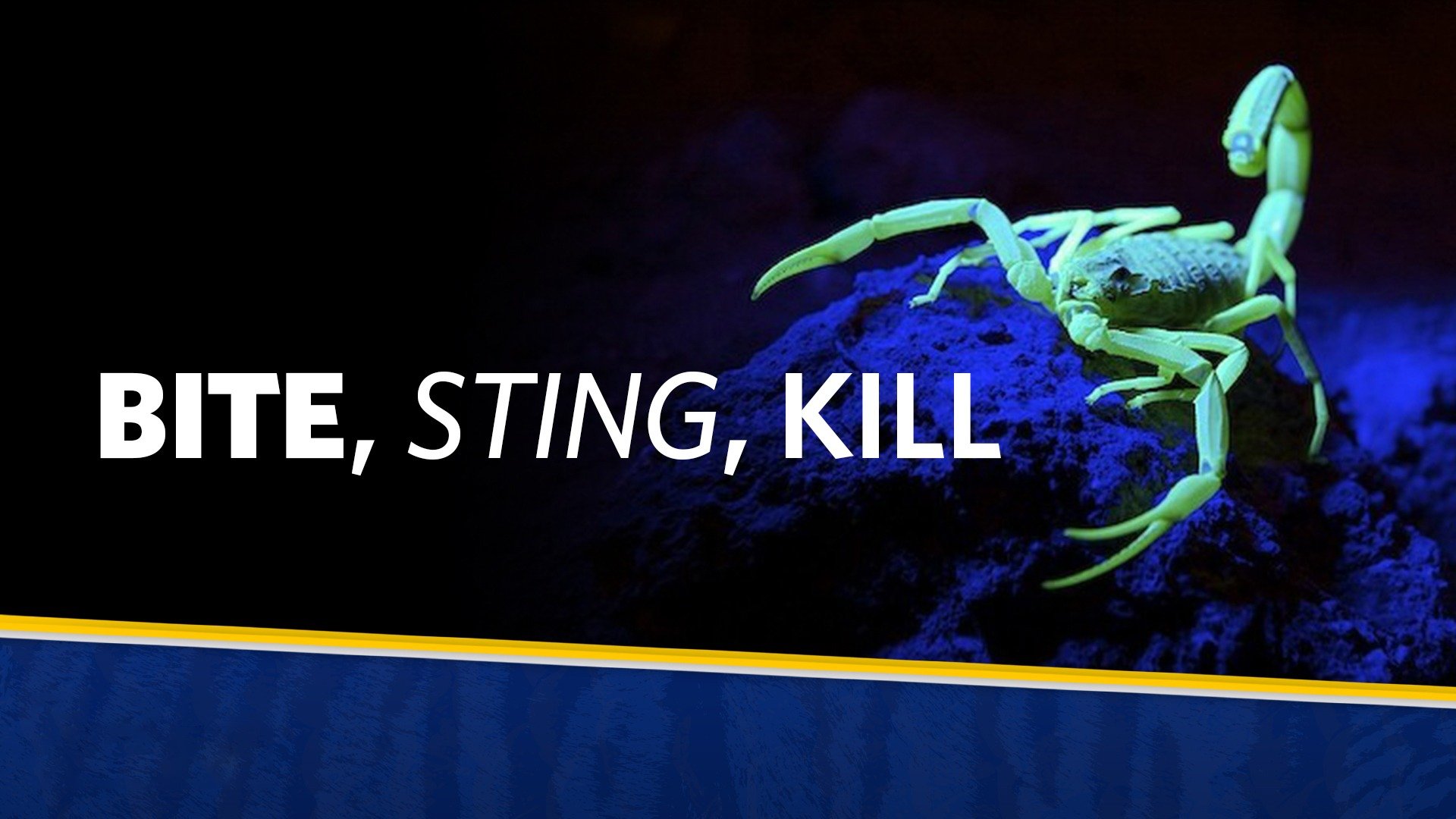 Bite, Sting, Kill (2018) Plex