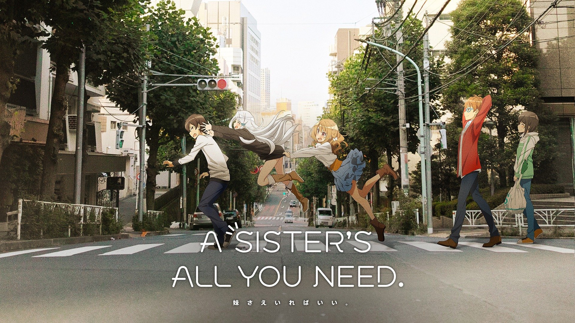 A Sister All You Need Season 1