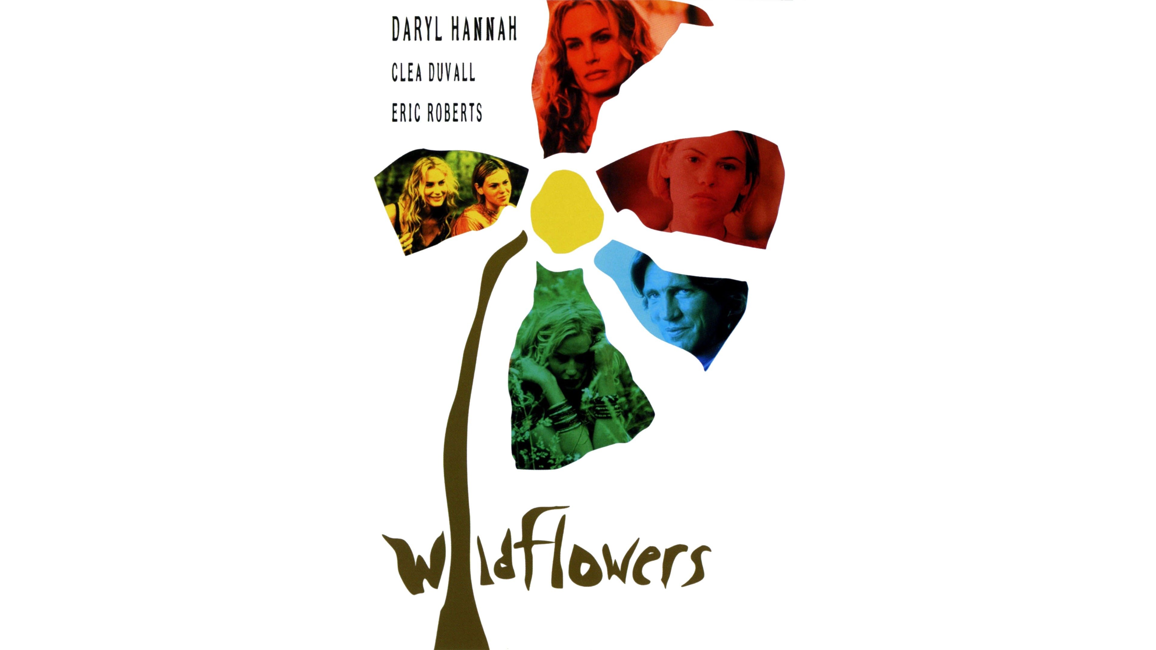 Dont Miss It The Wildflowers Documentary Coming Soon To Blu Ray - t8mwv7r