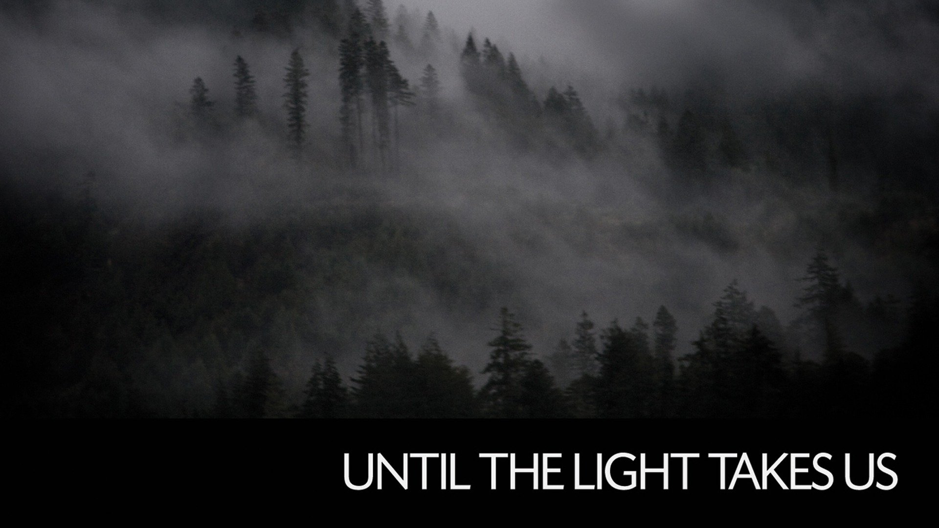 before the light takes us