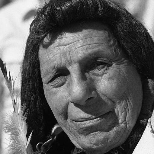 Iron Eyes Cody Tear